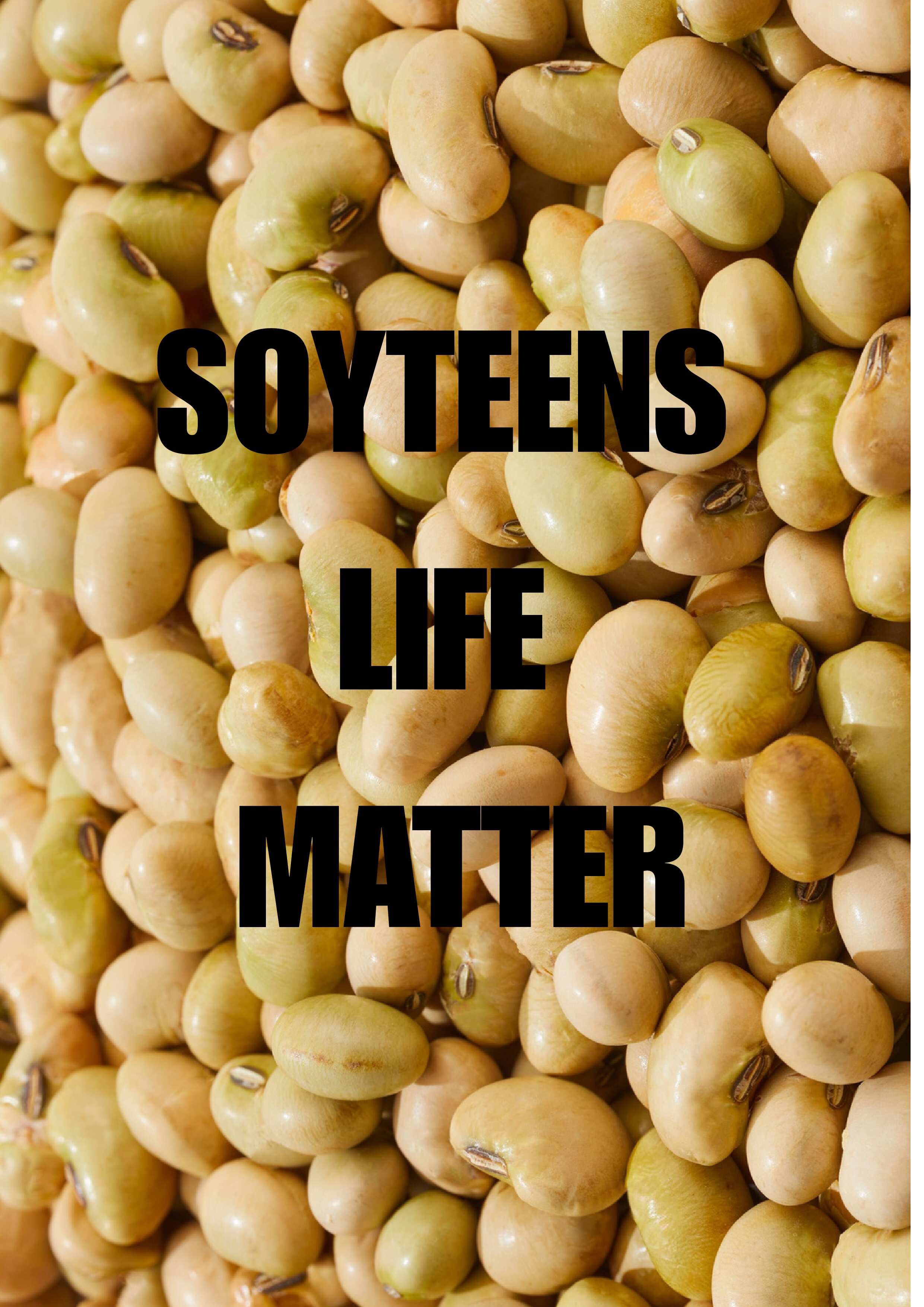 Message to soytroon hater. SOYTEEN RIGHTS ARE HUMAN RIGHTS!!!!!