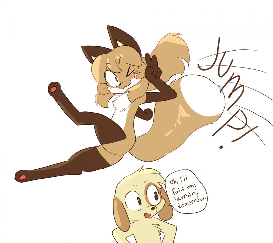 the quick brown fox jumps over the lazy dog!