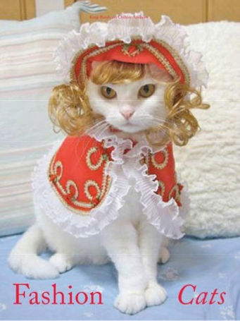 Introducing Kotess Smittens of Purrsia