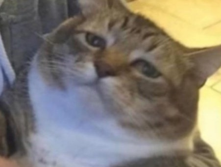 The only way any thread lasts more than a few replies is by repeated samefigging. I bet theres only about 12 unique IPs with half of them namefigs treating it like their mental health diary. This board should be deleted at this point.