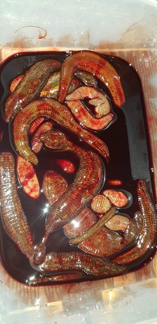 I wish I had friends