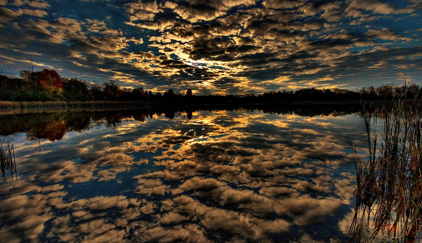 Smoked some deathbloom x chupacabra 