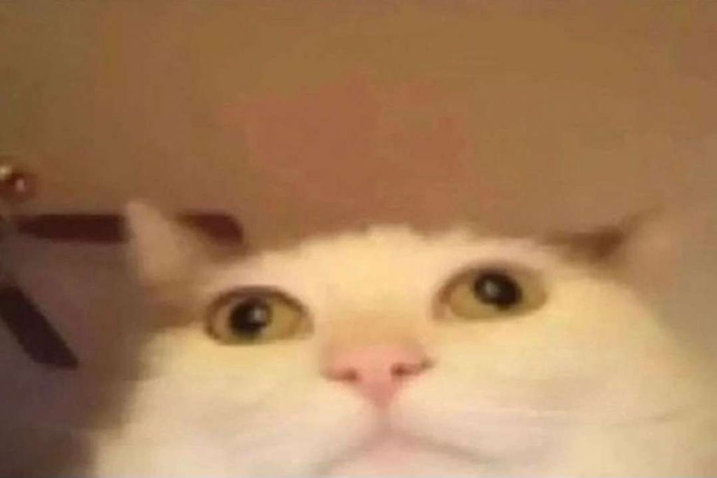 This thread is scary