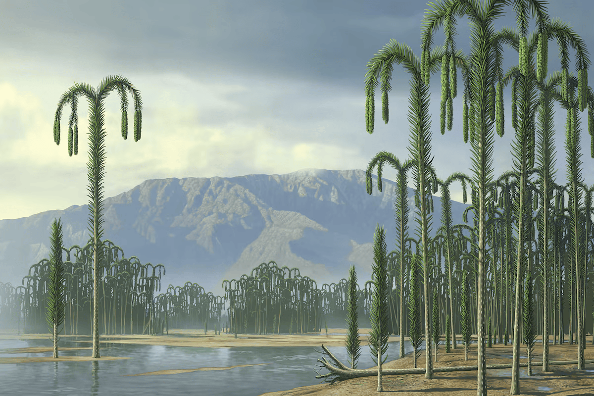 so quiet and peacefule