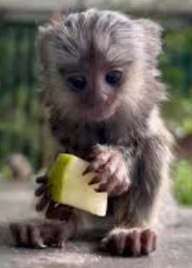 how should we stop this from happening?