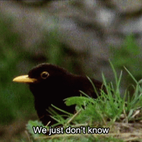 a materialistic world, full of fleeting plastic trinkets that will bring you no true meaning in life