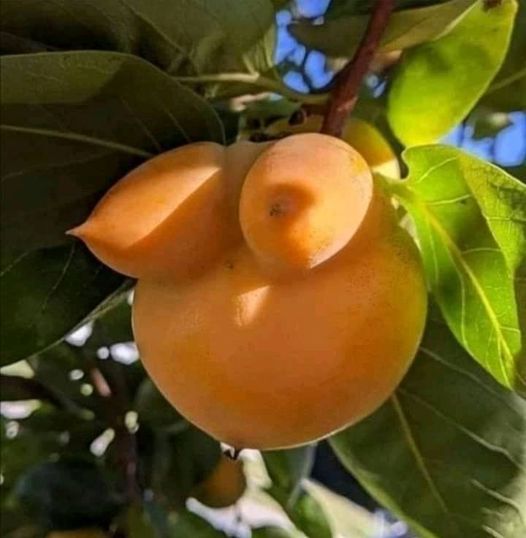 lust provoking image