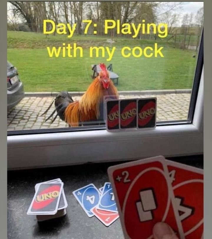 COCK!!