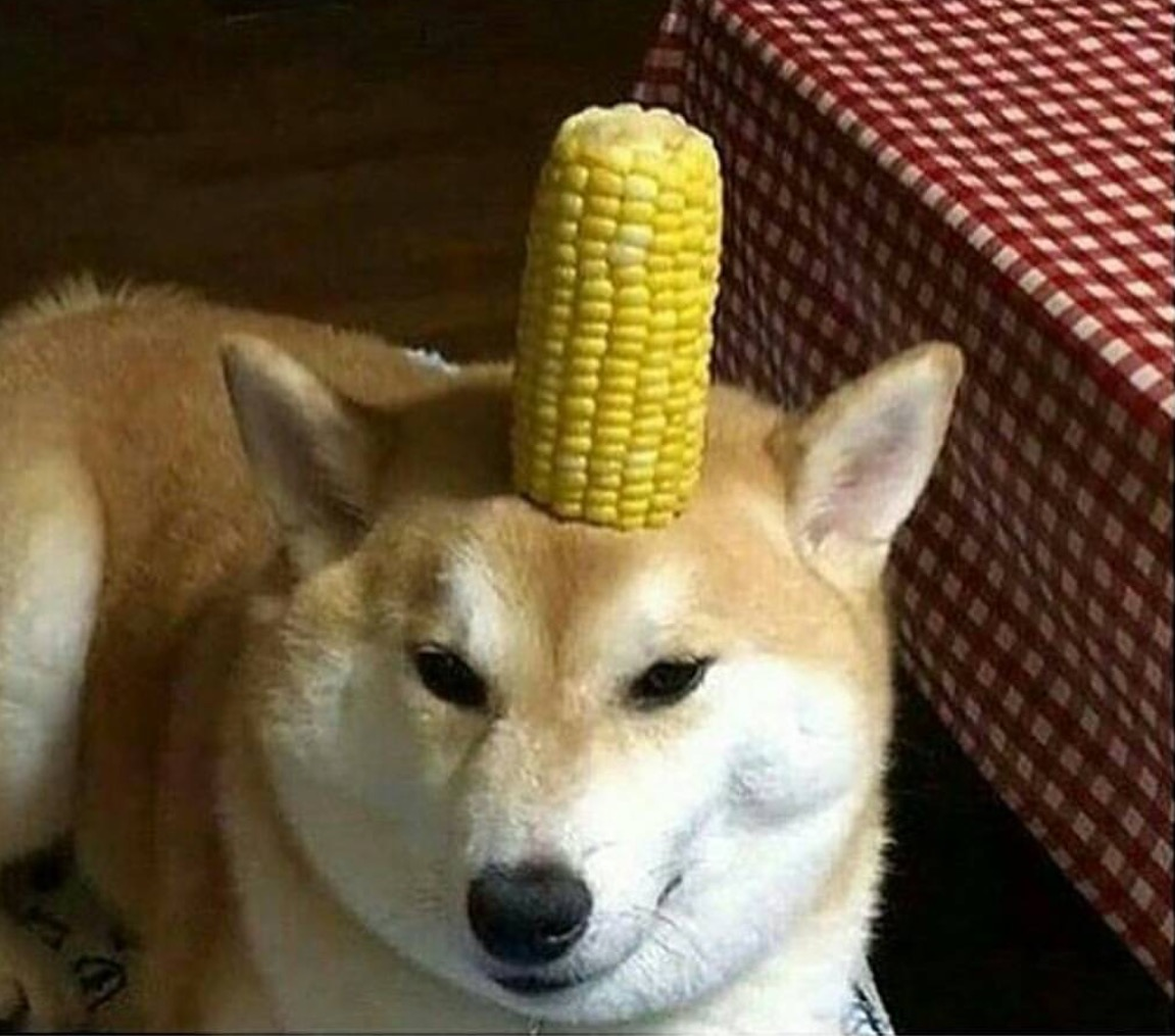 corndog