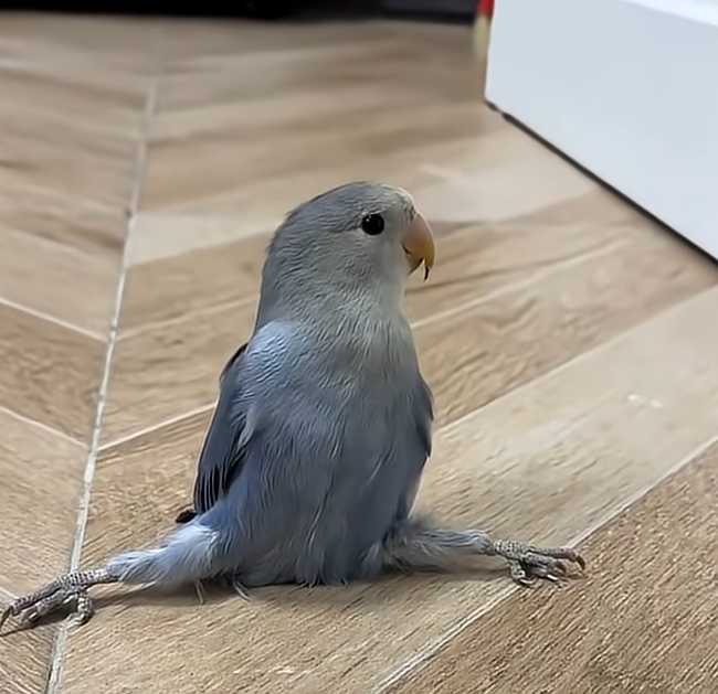 This is very important