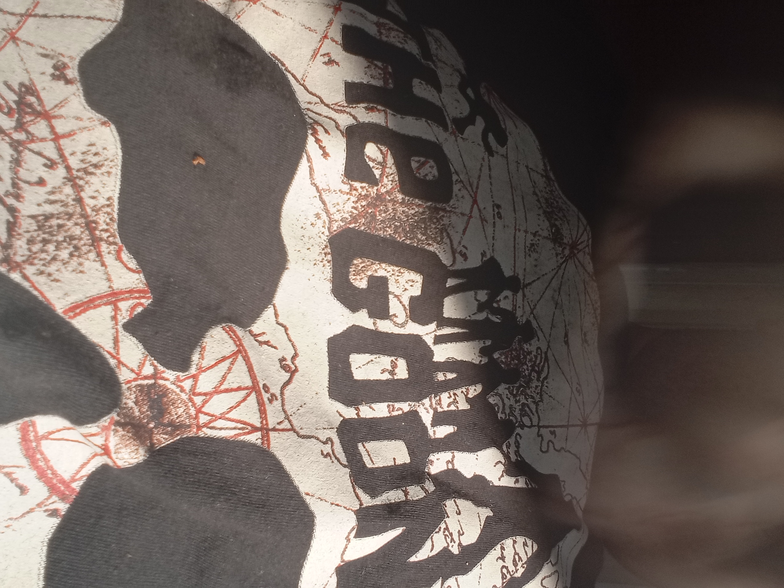 >the last thing you see before a murder of crows and demons consume you