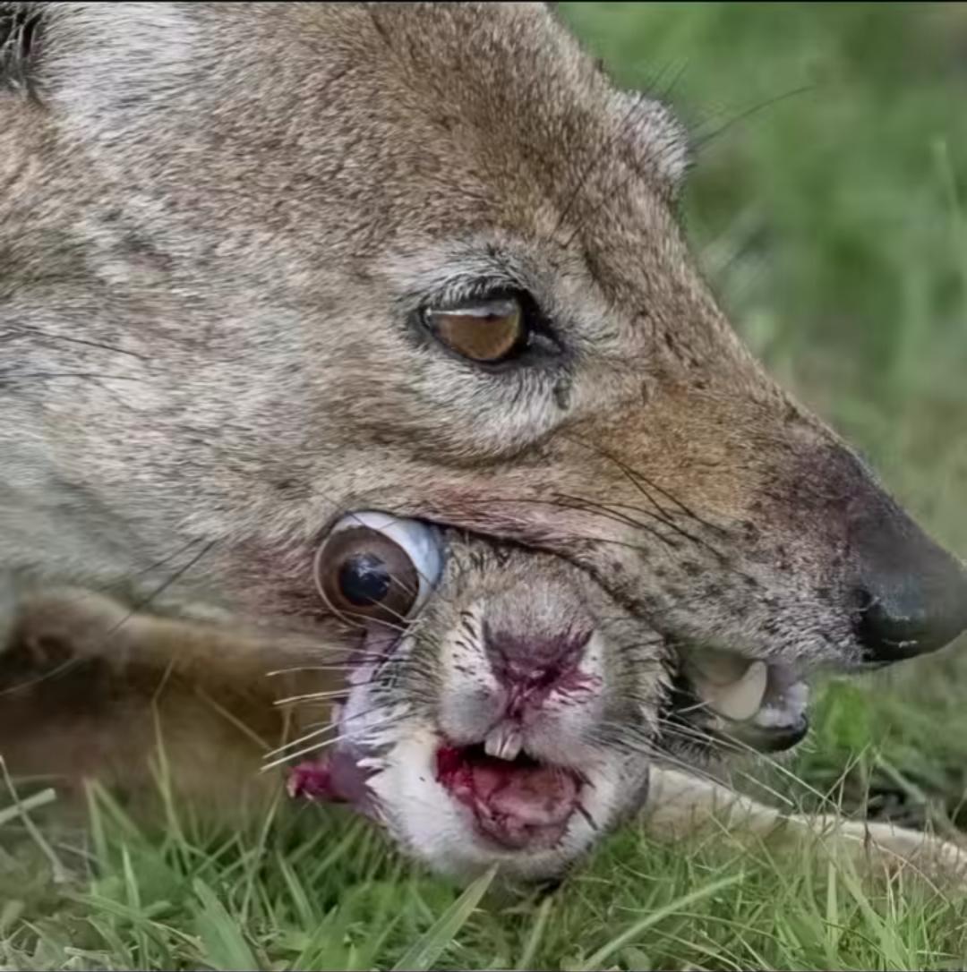 Rome was build in a single day