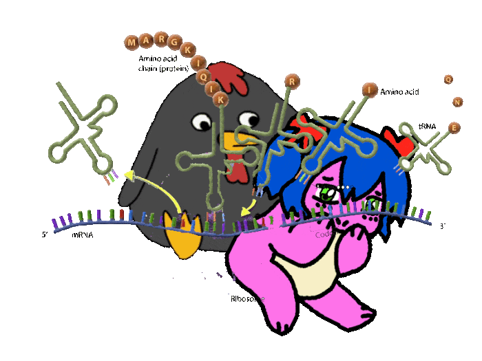 flube psychosis general