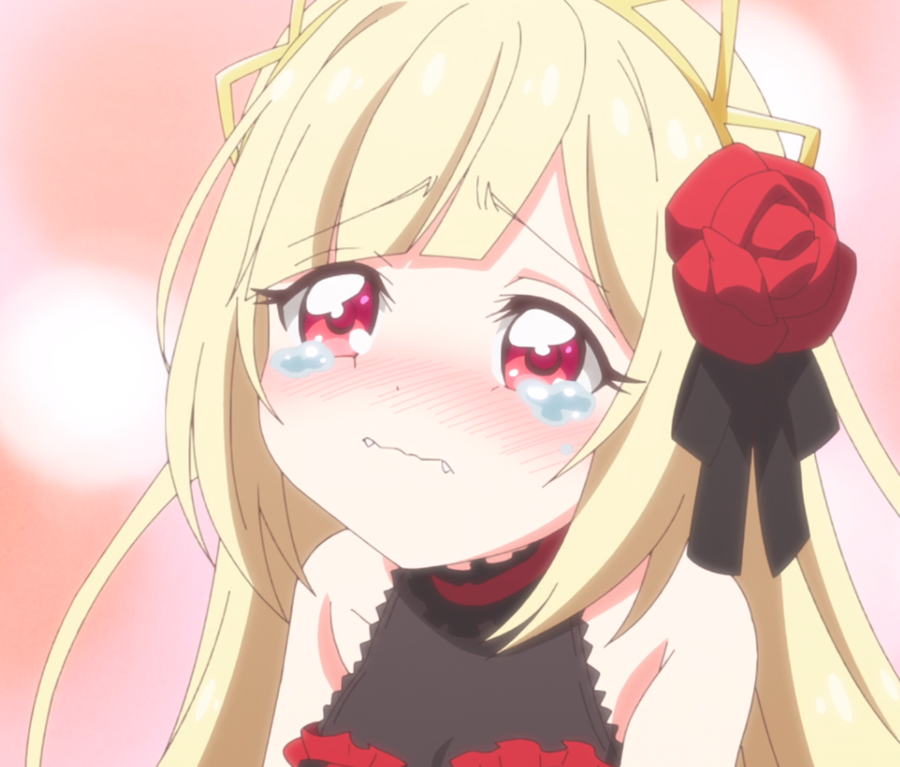 no Christmas tree this year