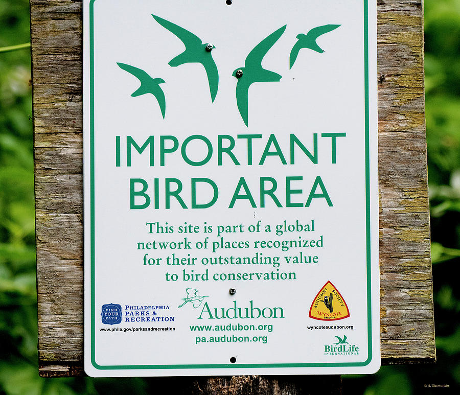 Whenever there is some desert island that no one can do anything meaningful with, some place that has no oil, gold, food, or anything of value, governments nevertheless lay claim to the land Because It's There. If nothing else can be done with it, such places are designated as wildlife preserves, in particular, Important Bird Areas. Ironically, unimportant places are ideal spaces for Important Birds.