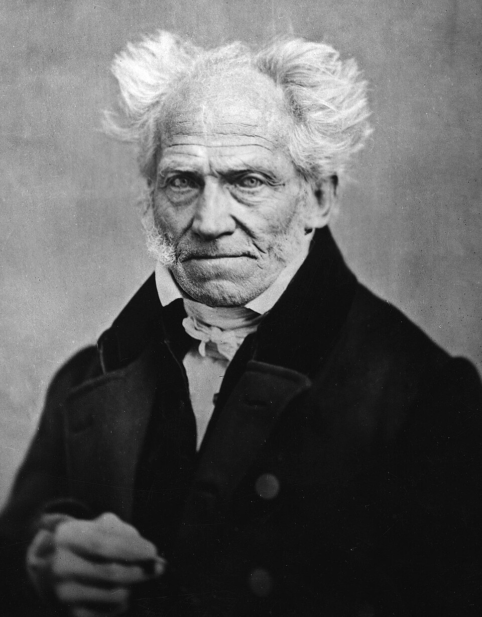 Today's Inspirational Schopenhauer Quote