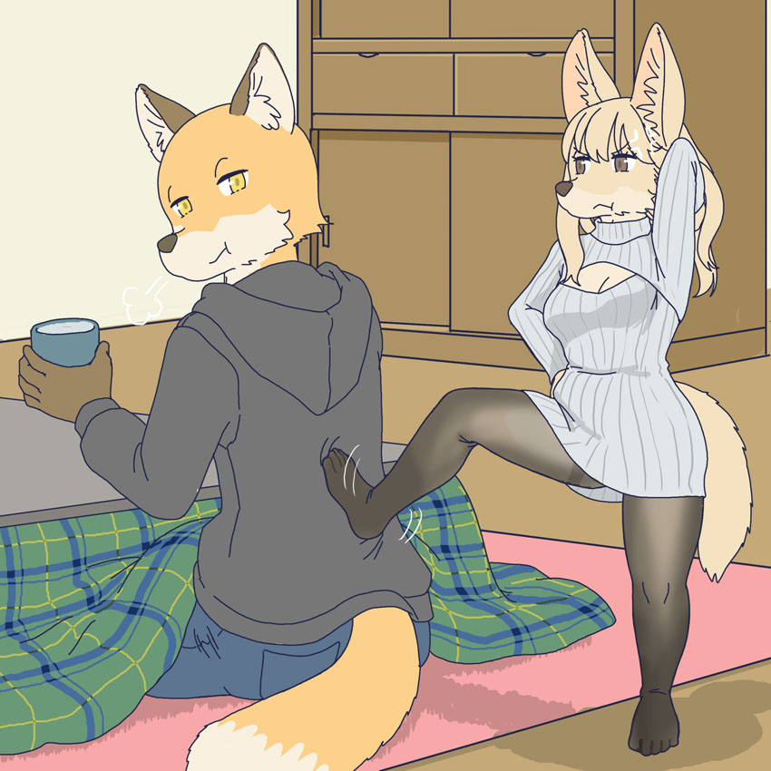 fennec wants attention