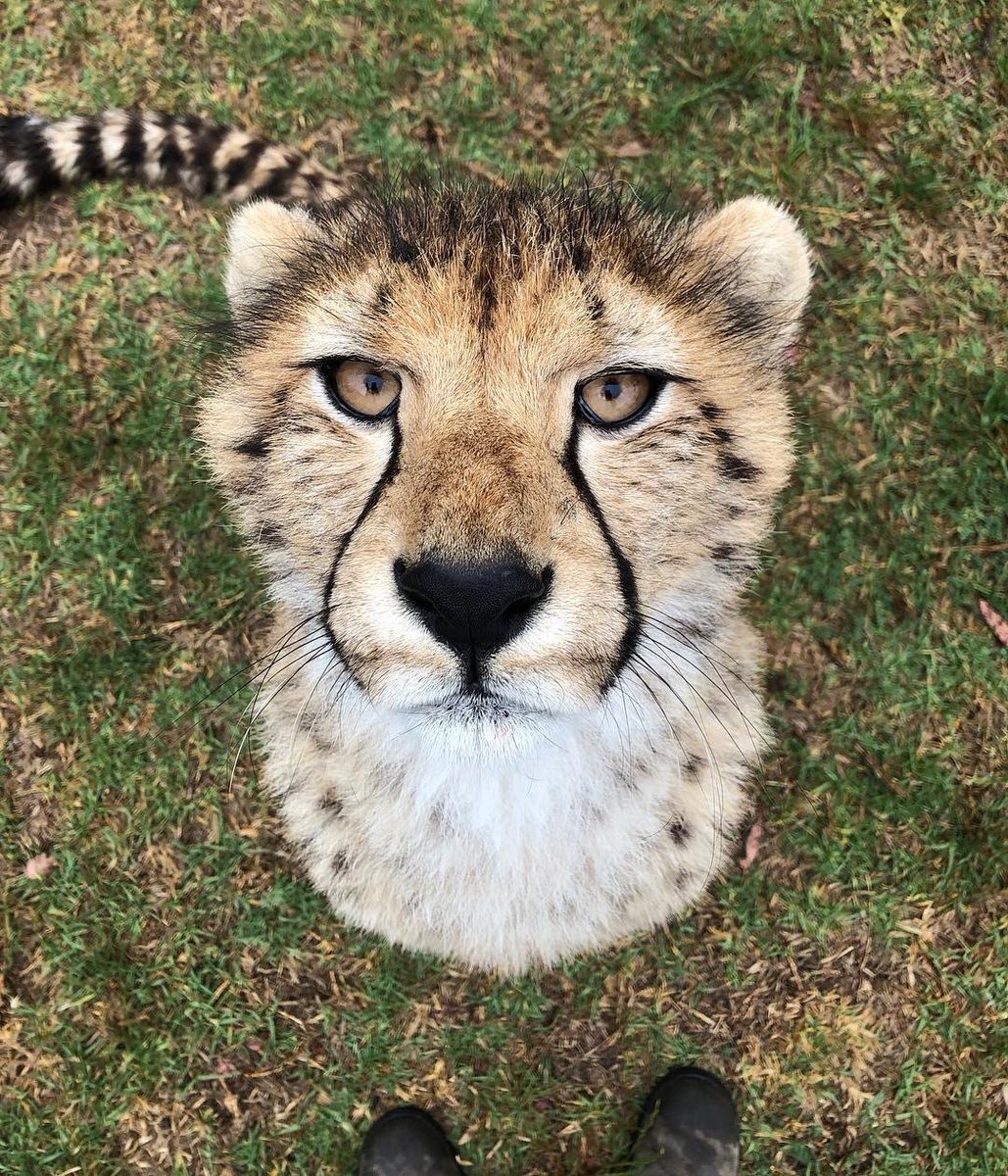 just popping in to get my hat