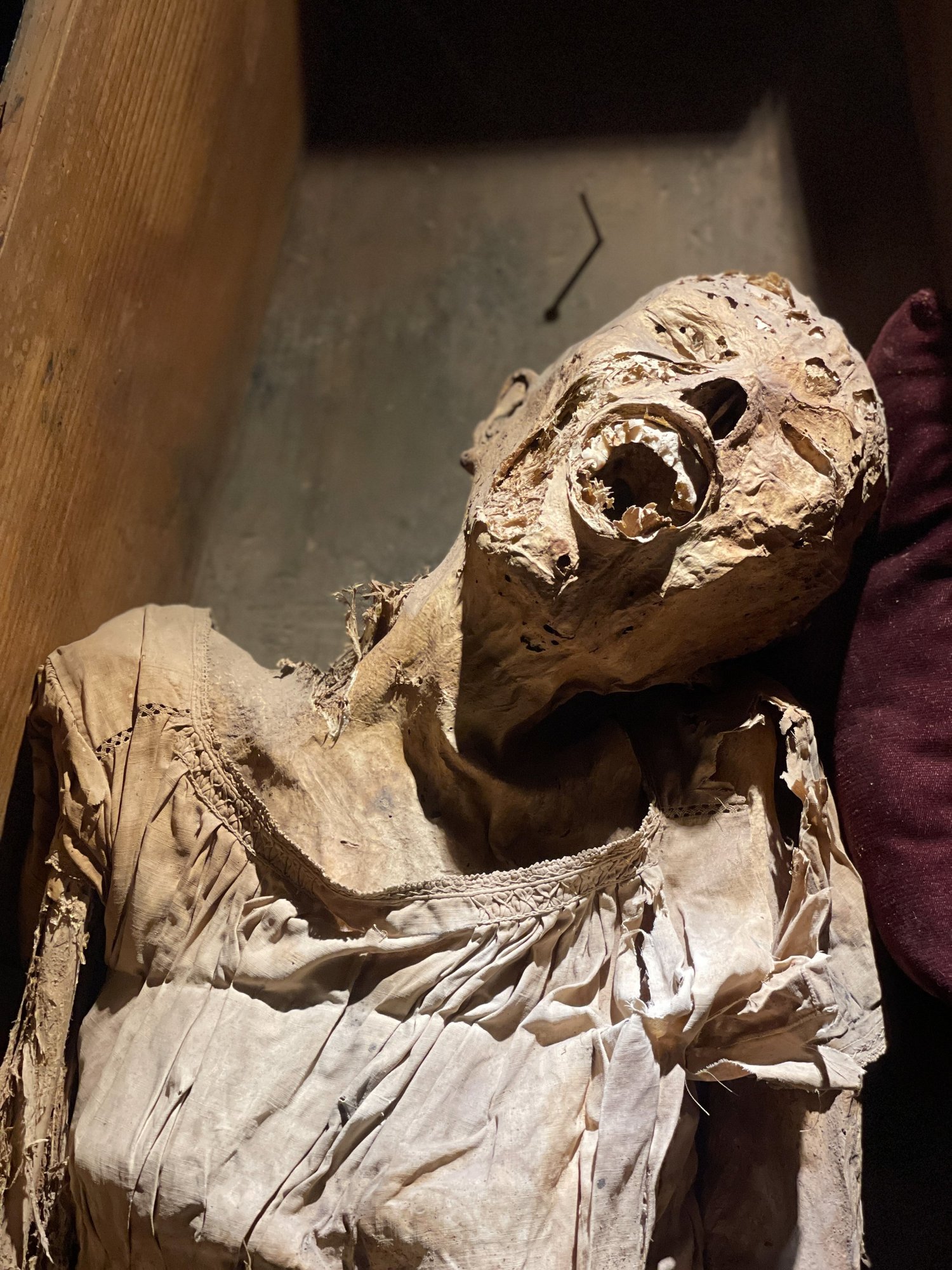 DEERRRRRRRRRR!!!!!!!