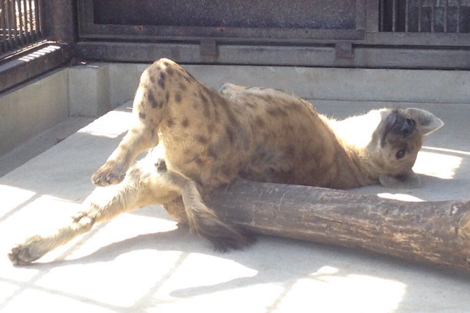 gosh anon your such a loser