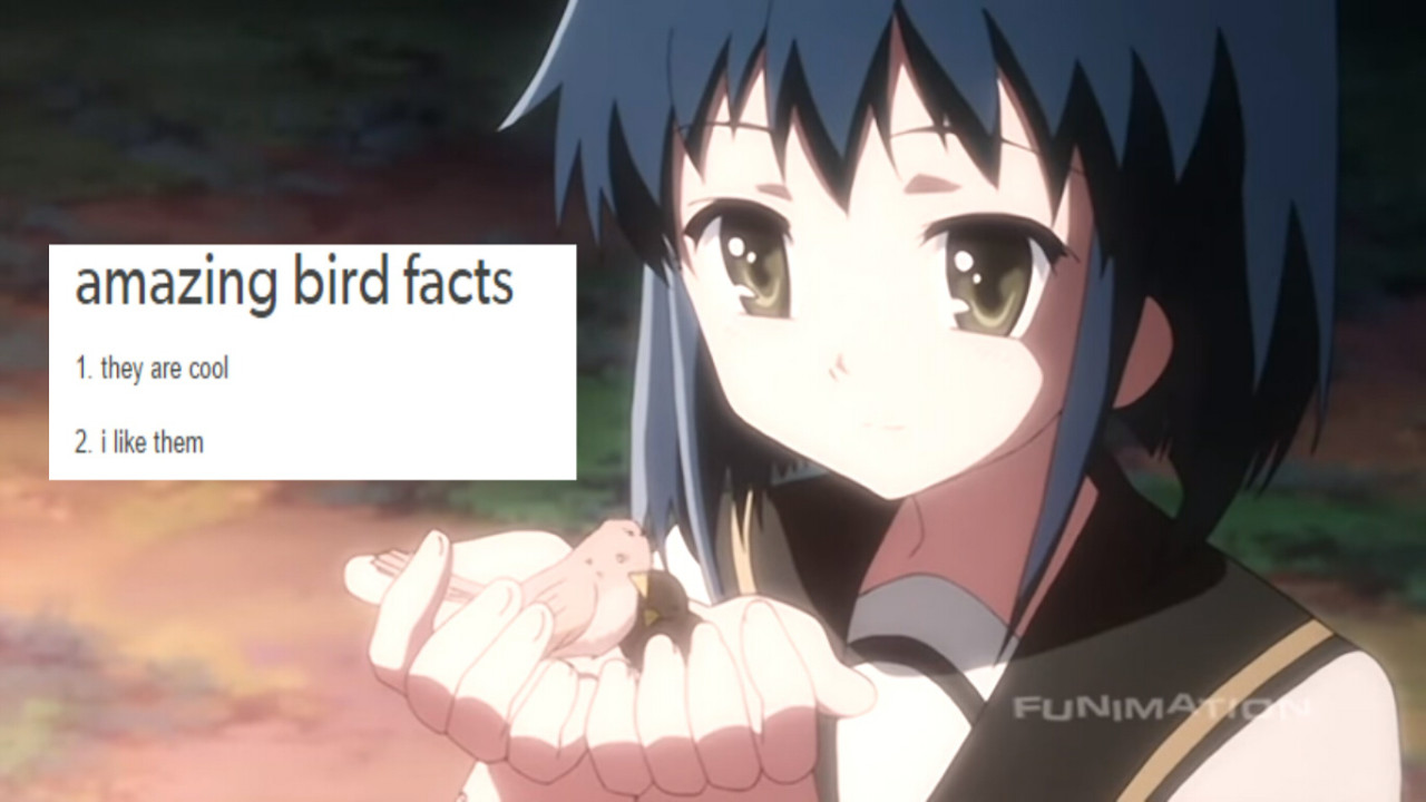 Anyone else really like those small little singing birds in the bushes? They are so incredibly le musical