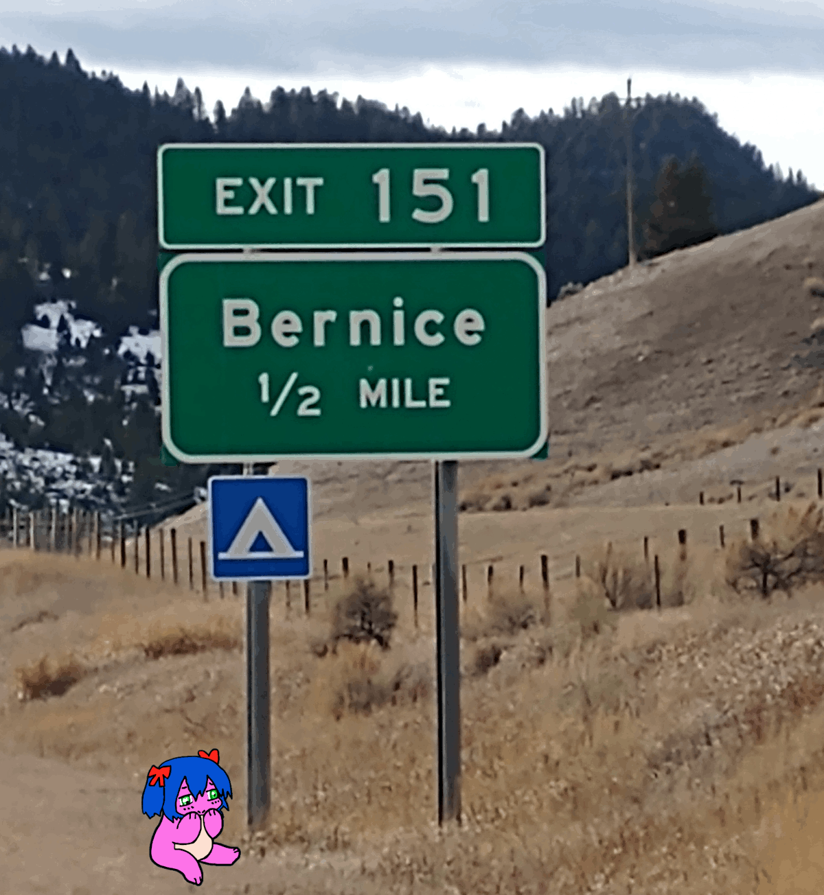 *hitch hikes to the Ber Nice campground*