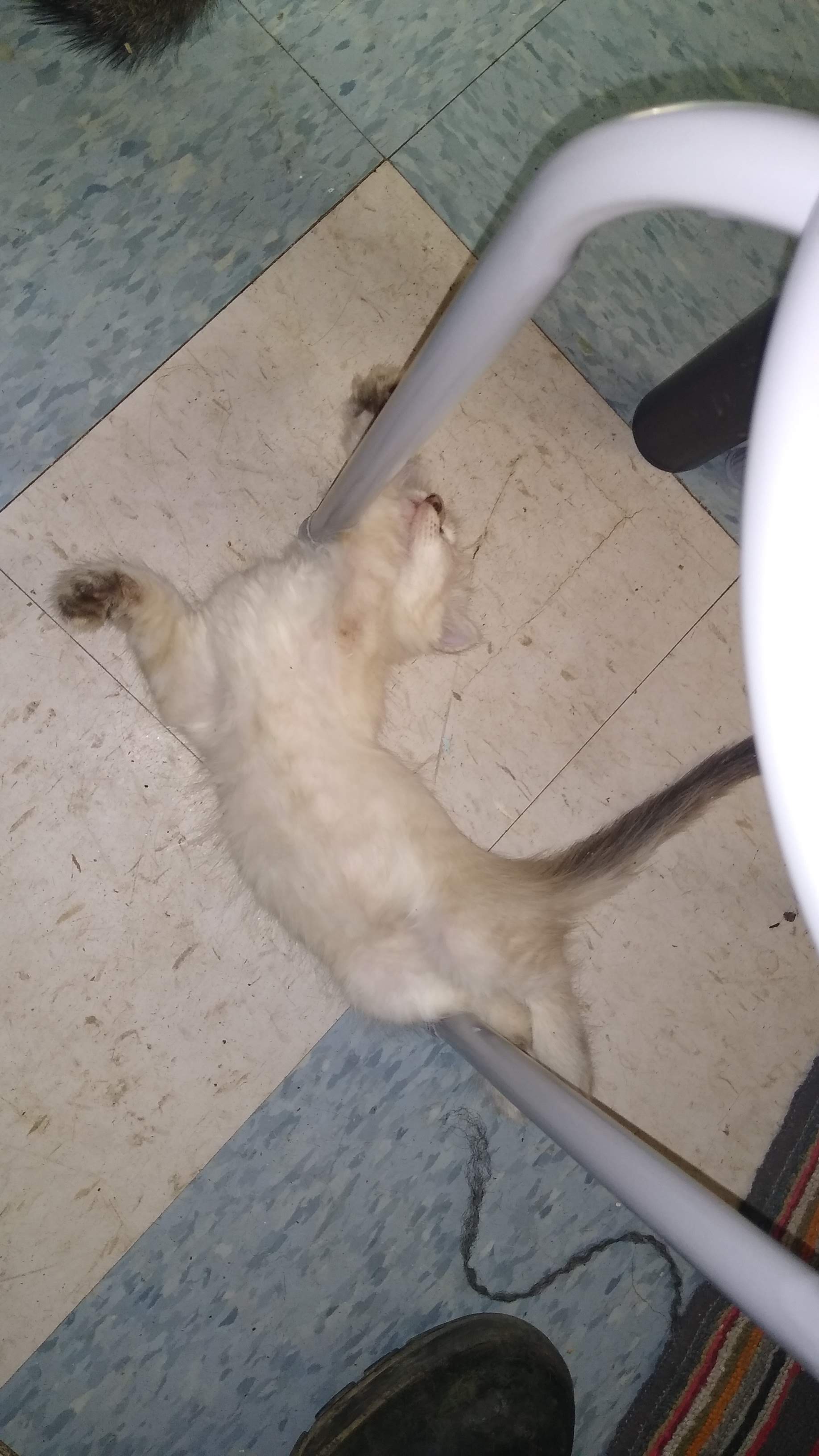 Dis nigga passed the fuck out