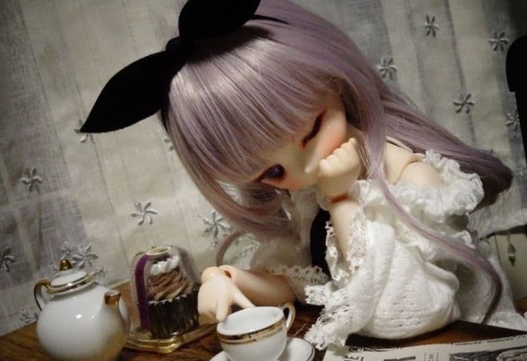 im scared of disturbing holly