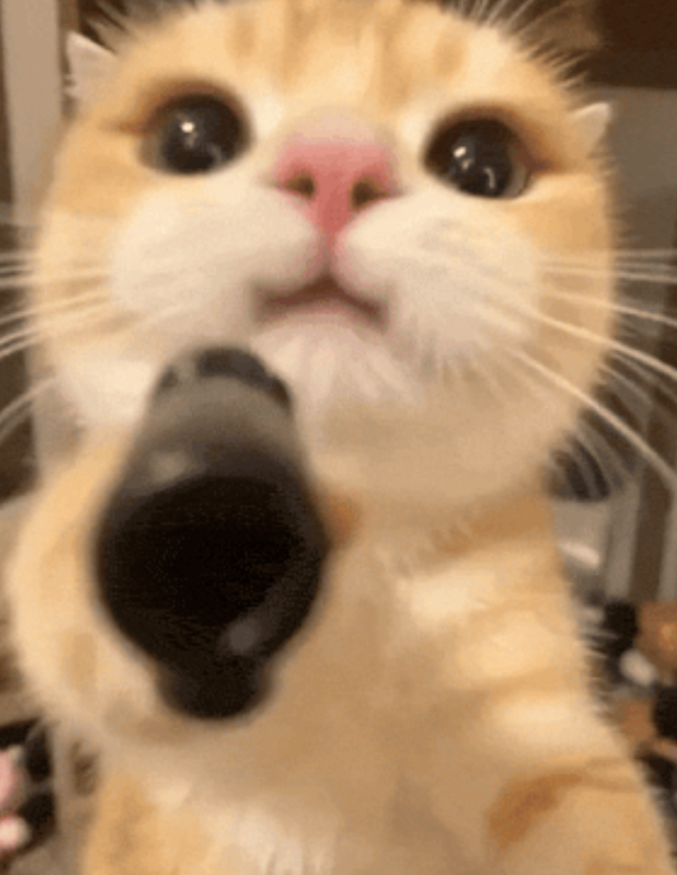 Does anyone have that picture of a cute girl in a fairy costume being smushed up against glass?