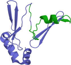 this is why you're fat