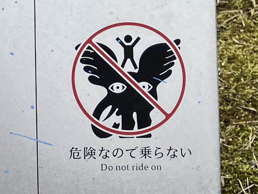 do not ride the flafalent