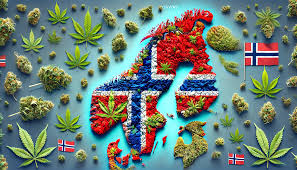 norway acidshroomsweed