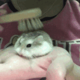 I didn't talk with anyone today, it’s exhausting getting thoughts