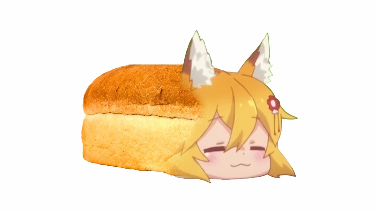 how do people use an entire loaf of breade without it going moldy on the last few slices