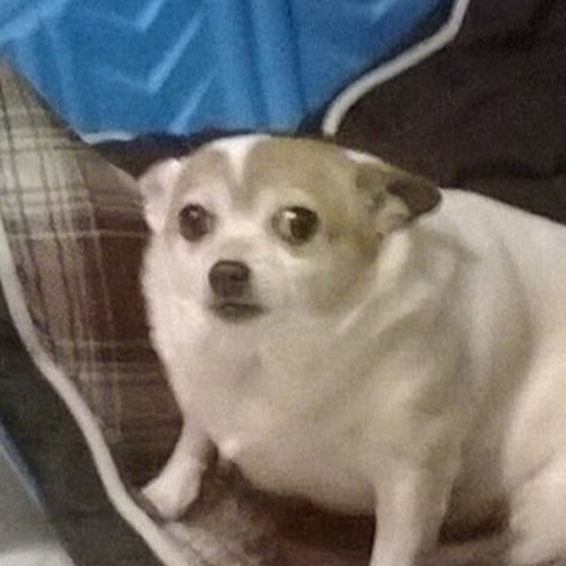 im a weird f*cking autist with no friends