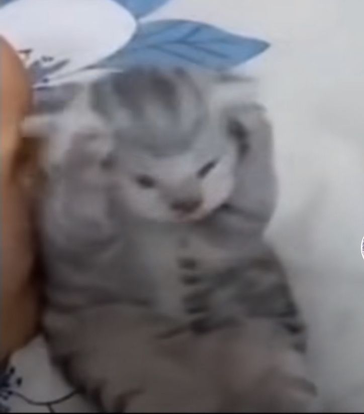 I HAVE A HEADACHHEE!! ow ow