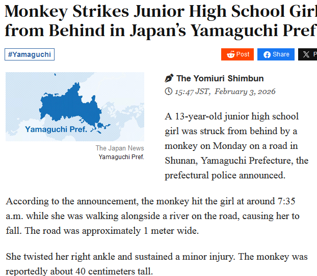 MONKE STRIKES IN JAPAN