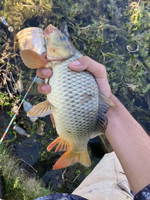 ITT post some cool and interesting youtube videos