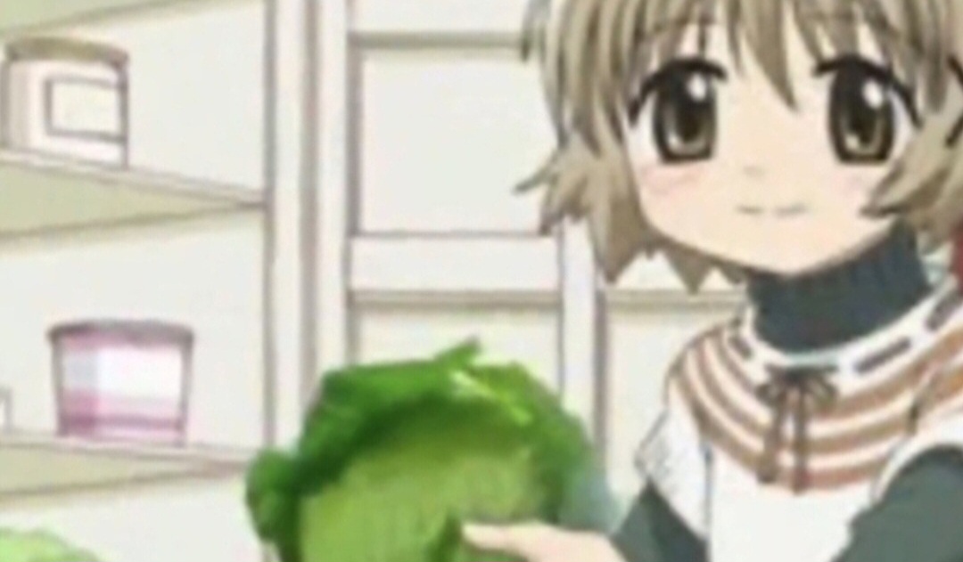 Cats are cool, what's your favorite breed?