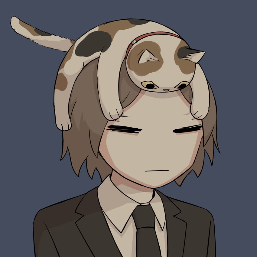 say something that is not an opinion or a insult