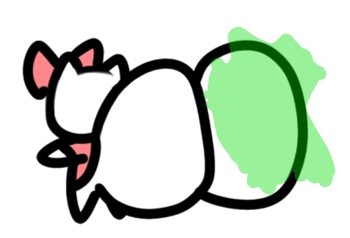 repeat after moot: *poot*