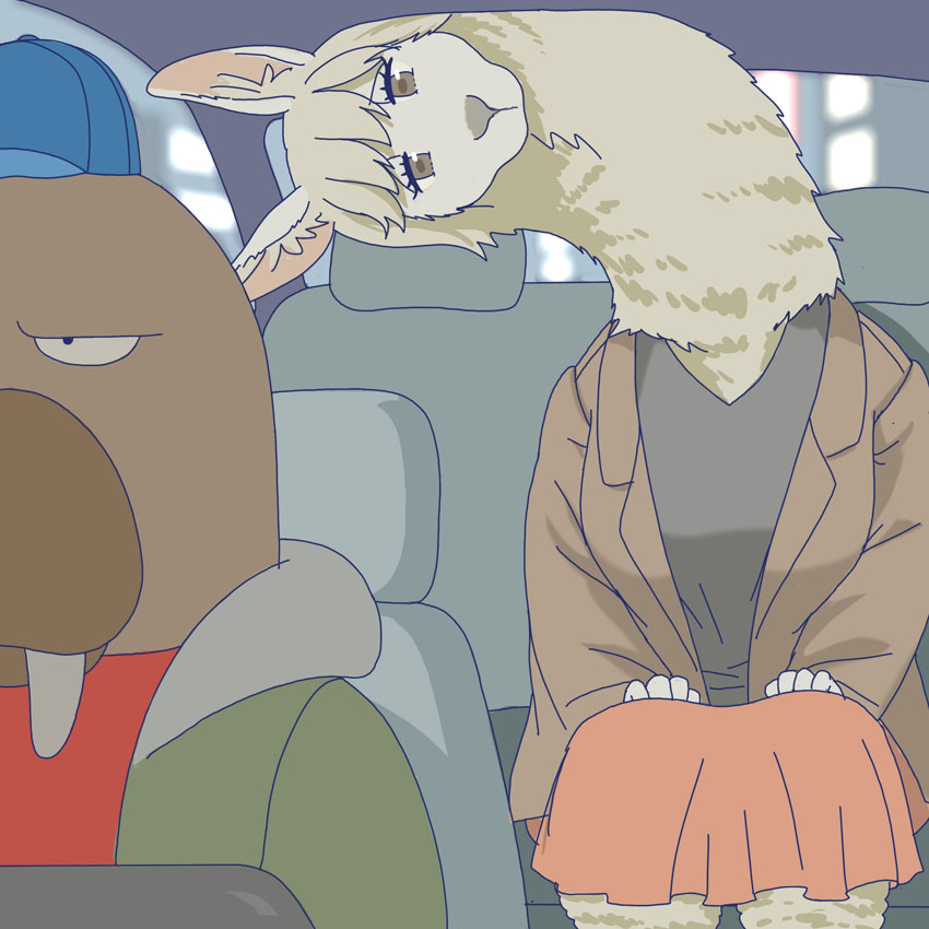 alpaca taking a taxi