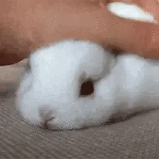 who wants to do this to me and do u want it urself too