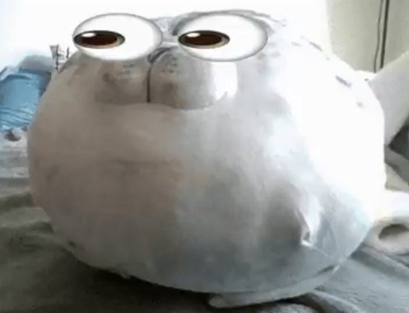 in my opinion we should all be