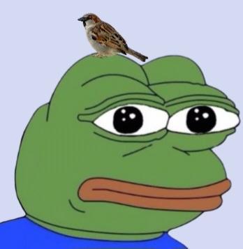 So what's this board about?