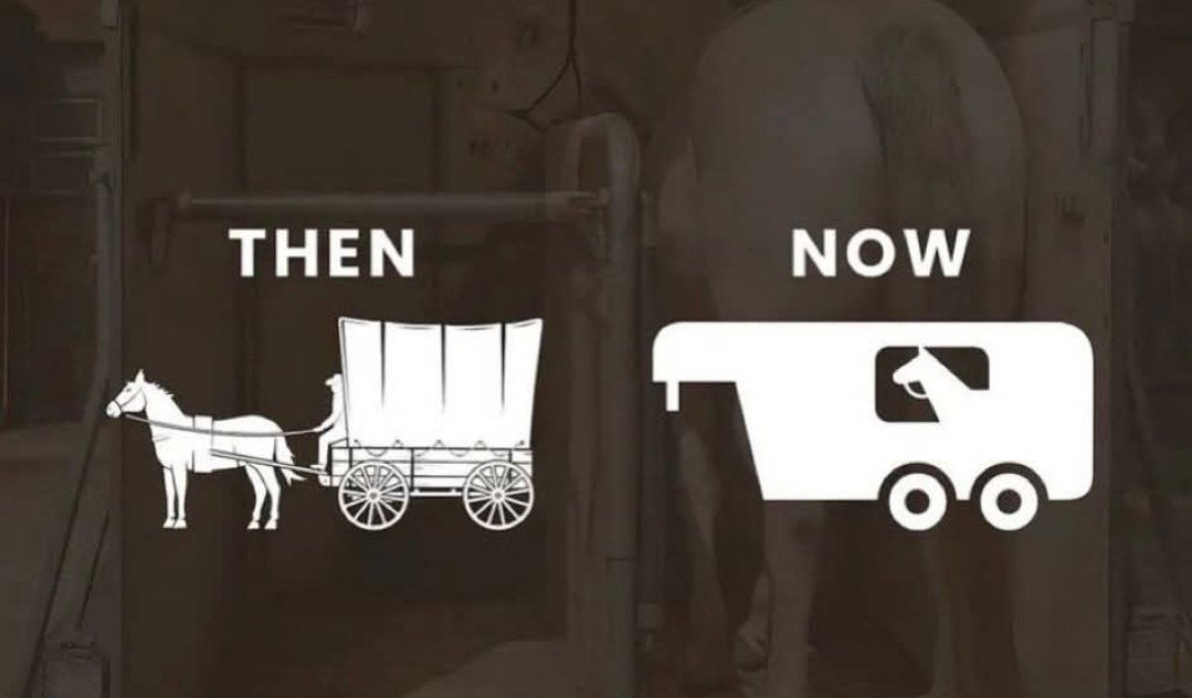 They have played us for absolute fools.