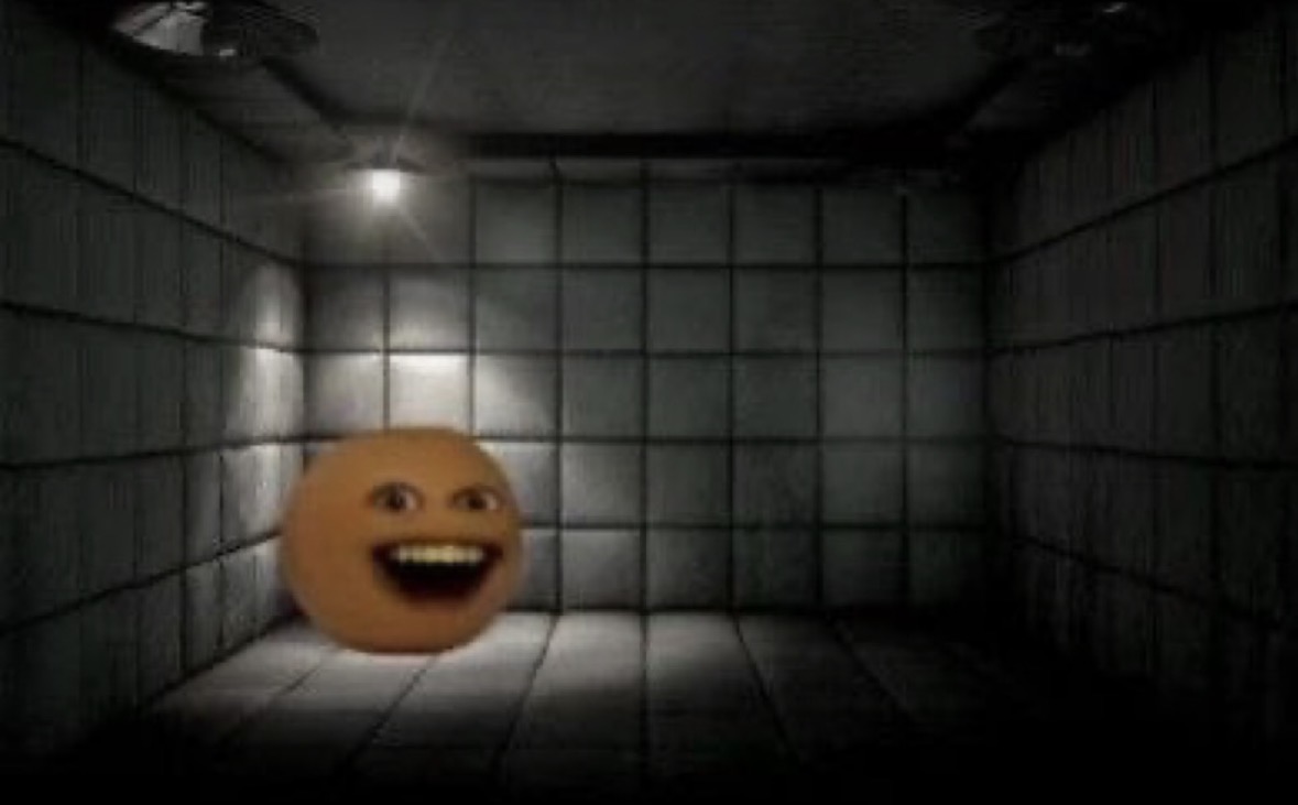 i feel like I’m going insane