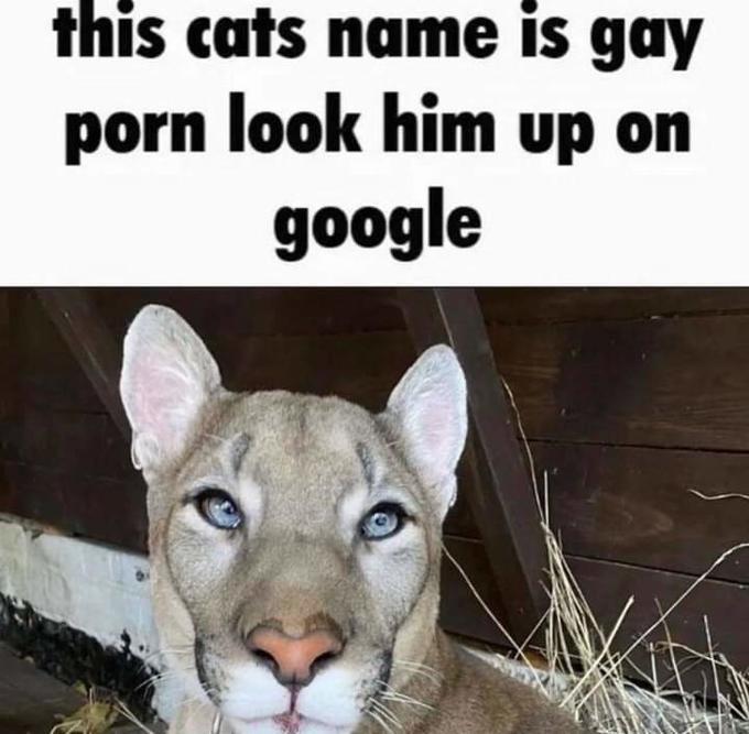 Did World War I actually doom humanity? I read some theories that the butterfly effect of that event has already sealed humanity's fate from the moment it occurred, and that without it we'd have much better odds.