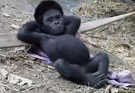 Now that I'm banned from twitter for being too boring, all twitter shows me is japanese e-thots shilling their skeevy websites.