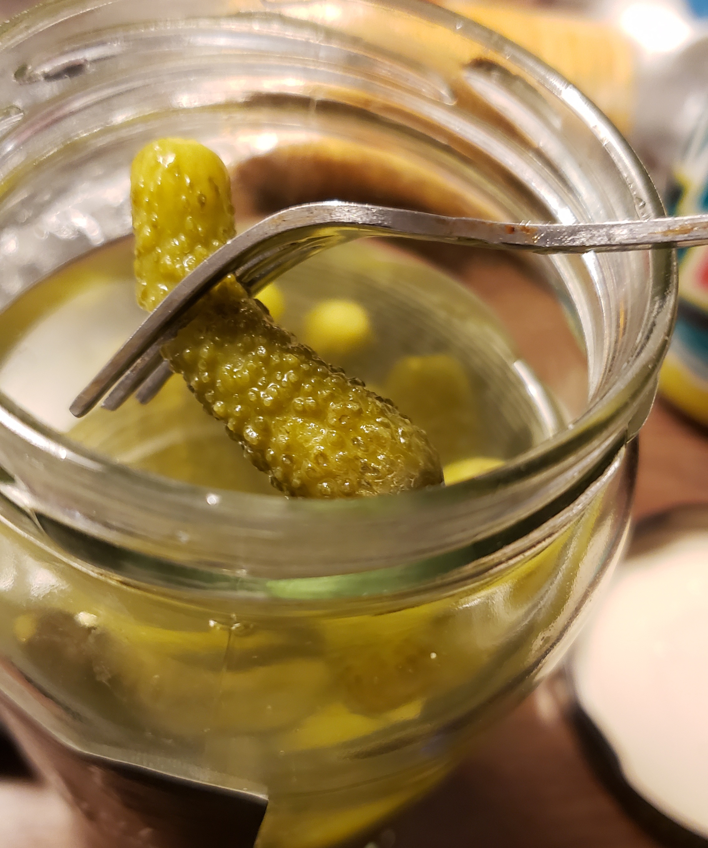 NO, SRSLY LOOK AT THIS TINY PICKLEL!